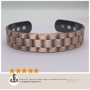 Magnetische Armband van Roestvrij Staal met 6 Neodymium Magneten | 30g | unisex
