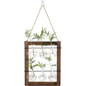 Bastix - Plantenterrarium, decoratieve vazen, propagatiestation, hangende glazen vaas, set met houten standaarden, hydrocultuur vaas, glas, wandvaas voor woonkamer, kantoor, bloemenvaas, modern