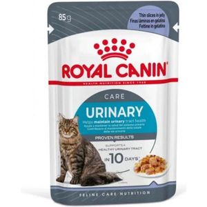 Royal Canin FCN Urinary Care in Jelly 12x85 g