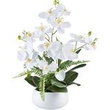 Kopu® Kunstbloem Orchidee 55 cm 4 takken op schaal - Phalaenopsis Wit