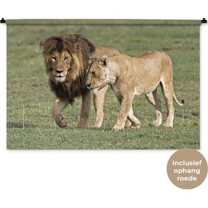 Wandkleed Leeuwen - Leeuwenpaar Wandkleed katoen 150x100 cm - Wandtapijt met foto