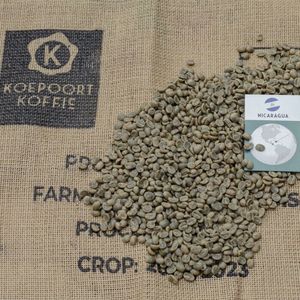 Nicaragua Arabica - ongebrande groene koffiebonen - 1 kg