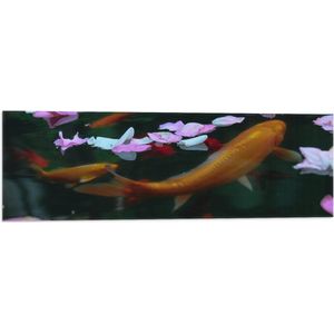 WallClassics - Vlag - Goudvissen in Water met Bloemblaadjes - 90x30 cm Foto op Polyester Vlag