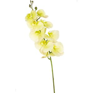 Greenmoods Kunstplanten - Kunstbloem - Orchidee - Real Touch Deluxe - Zijde - Wit/Geel - 105 cm