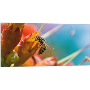 WallClassics - Vlag - Bij op Rode Bloemen - 100x50 cm Foto op Polyester Vlag