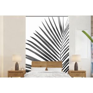 Plant - Zwart wit - Natuur - Blad - Behangpapier