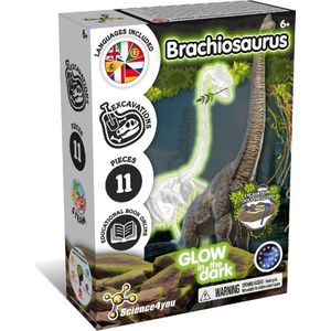 Science4you Glow in the Dark Fossil Excavation Brachiosaurus - Experimenteerset - Dinosaurus Fossielen Opgraven - Dinosaurus Speelgoed - 11 onderdelen - 6+ - met Beitel & Hamer