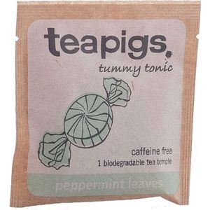 teapigs Peppermint Leaves - Box of 50 Tea Bags in envelopes
