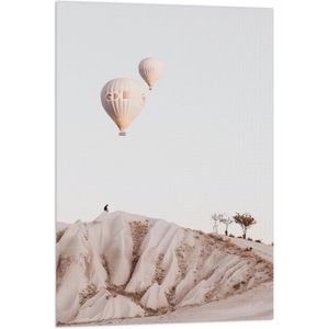 WallClassics - Vlag - Beige en Bruine Luchtballonnen boven Rotslandschap - 60x90 cm Foto op Polyester Vlag