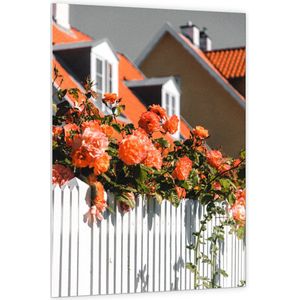 WallClassics - PVC Schuimplaat - Witte Schutting met Roze Tuinrozen - 100x150 cm Foto op PVC Schuimplaat (Met Ophangsysteem)