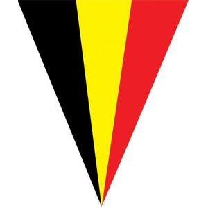 vlaggenlijn belgie