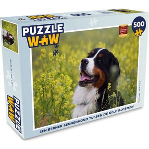 Puzzel Een Berner Sennenhond tussen de gele bloemen - Legpuzzel - Puzzel 500 stukjes