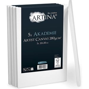 Artina 5-Set schildersdoeken canvas in academie kwaliteit – Schildersdoek wit - canvas paneel 20x30cm