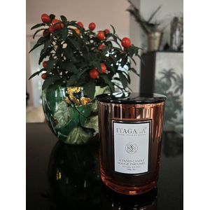 ITAGALA Geurkaars (230g) - 46 Branduren - Sojawas - Champagne & Golden Vanilla - Champagne Goud