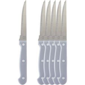 OTIX Steakmessen - Set van 6 Stuks - Grijs - Vleesmessen - Vaatwasserbestendig - 21x2x1,5cm - Steakmessenset - RVS