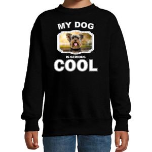 Yorkshire terrier honden trui / sweater my dog is serious cool zwart - kinderen - Yorkshire terriers liefhebber cadeau sweaters - kinderkleding / kleding 152/164