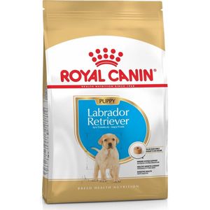Royal Canin Labrador Retriever Junior - Hondenbrokken - 12 kg
