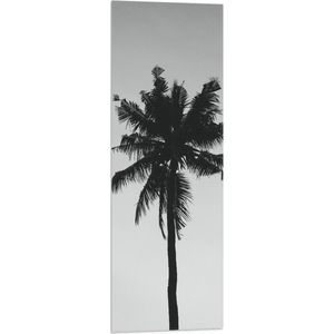 WallClassics - Vlag - Silhouet van Smalle Palmboom (zwart/wit) - 30x90 cm Foto op Polyester Vlag
