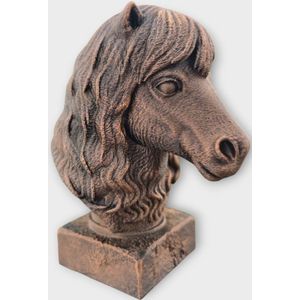 Shetland Pony dierenbeeld - Buste van dierenkop 20cm | Realistisch & Decoratief Beeldje voor Thuis of Kantoor