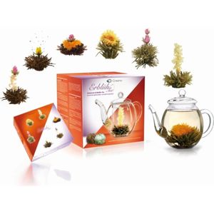 Theebloemen cadeauset - Creano Theebloemen geschenkset met glazen theekan - 3st. zwarte thee, 3st. witte thee incl. theepot