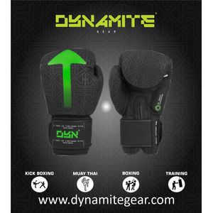 Bokszak-Dynamite Kickboxing Boxing Gloves - Matt- 14oz