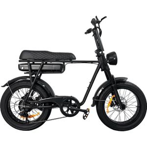 EB2 - Fatbike - Zwart - 250W - Elektrische Fatbike