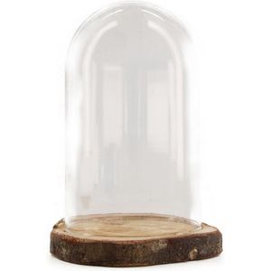 Dijk Natural Collections stolp - glas - houten bruin boomschijf plateau - D17 x H22 cm