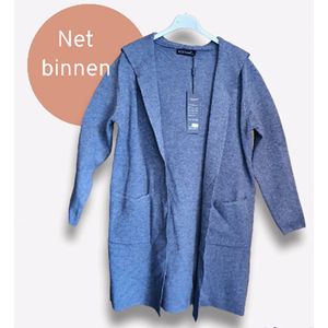 Warme vest in GRIJS kleur met capuchon en zijzakken voor dames maat 38/40