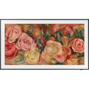 Samsung QE65LS03D - 65 inch - SMART - the FRAME - 4K - QLED - 2024