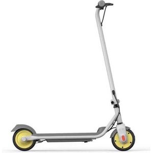 Segway Ninebot ZING C10 Elektrische Step Toegestaan In Geen Enkel EU-land Li-ion