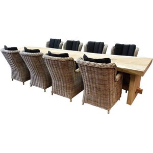 Boomstam Darwin naturel 400x90xH77,5 9-delig - bladdikte 10 cm geschoord