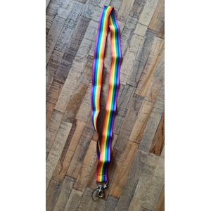 LGBTQ - Keycord LGBT regenboog kleuren (LGBTQIA+, pride, love, LHBTI+, LHBTIQA+, gay, trans, bi, lesbo, homo)