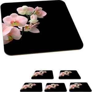 Onderzetters voor glazen - Orchidee - Bloemen - Roze - Stilleven - Flora - 10x10 cm - Glasonderzetters - 6 stuks