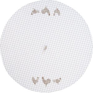 Clayre & Eef Theedoek Kip Ø 80 cm Beige Katoen Vaatdoek Keukendoek