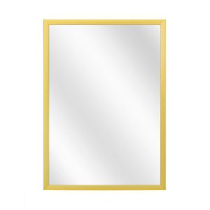 Spiegel met Luxe Aluminium Lijst - Mat Goud - 40x60 cm