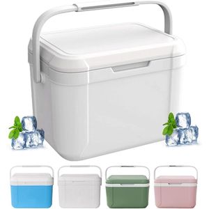 Kleine koelbox 5L - Passieve koelbox voor auto, camping en picknick - Houdt tot 24 uur koel