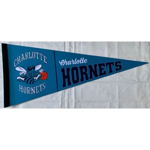 USArticlesEU - Charlotte Hornets - Vintage Logo - oud - NBA - Vaantje - Basketball - Sportvaantje - Pennant - Wimpel - Vlag - 31 x 72 cm