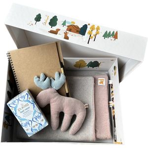 Baby cadeau meisje/jongen | Memory box | Kraamcadeau | babypakket | Origineel babycadeau roze fleece | Lente kraampakket