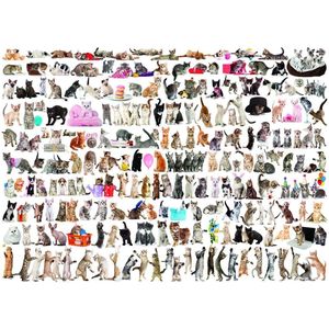 Eurographics puzzel The World of Cats - 1000 stukjes