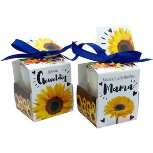 Wenskaarsje met bedeltje - Allerliefste Mama - Geurkaarsje in geschenkdoosje - met labeltje - vanille - sojawax