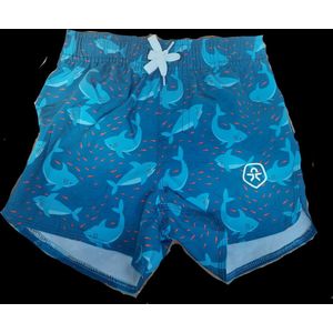 Color kids zwemshort shark blauw maat 104