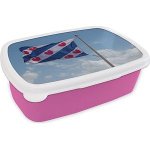 Broodtrommel Roze - Lunchbox - Brooddoos - Friesland - Friese vlag - Lucht - 18x12x6 cm - Kinderen - Meisje