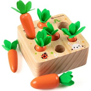 Houten speelgoed vanaf 1 jaar, stimuleert de baby-motoriek, vanaf 12 maanden, voor jongens en meisjes, Montessori-sorteerspel, houten puzzel, educatief speelgoed voor kinderen, cadeau-idee