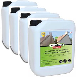 Multifunctionele Reinigingsmiddel voor Buiten - 20 L (4 x 5 L)
