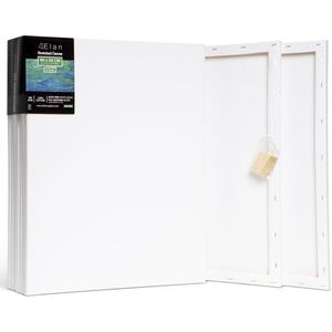 Elan Schildersdoeken 40x50 CM, 6 Stuks Canvasdoeken 40x50 CM, 100% Katoenen Canvas voor Schilderen, Stretched Canvas, Painting Canvas 40x50 CM, Pre Primed Canvas, Schilderdoek 40x50 CM