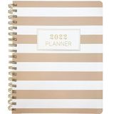 Graphique De France Agenda Stripe 25 X 20 Cm 2021-2022