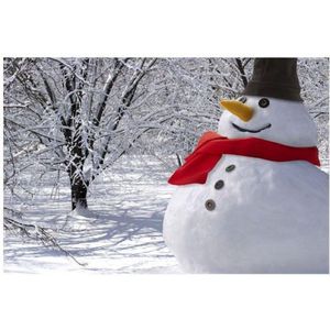 Sneeuwpop Aankleedset - Aankleed Kostuum - Winter Decoratie Buiten - Sneeuwman - Sneeuwpopset
