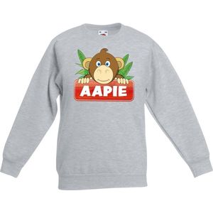 Aapie het aapje sweater grijs voor kinderen - unisex - apen trui - kinderkleding / kleding 110/116