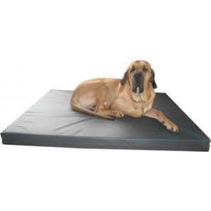 Topmast Orthopedisch HD Matras  Kussen Hondenkussen Hondenmatras Orthopedisch leatherlook 55 x 80 x 10 cm - Antraciet