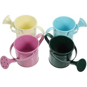 5 stuks ijzeren plantenketel - gegalvaniseerde plantenbak - kerstdecoratie - irrigatie - gieter - cadeau speelgoed - kleine speelgoedset - bloempot voor kinderen - thuisdecoratie Watering Can